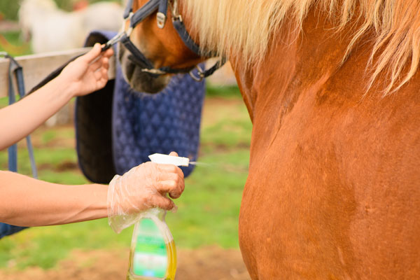 Glue-U Adhesives - Together we take care of your horse