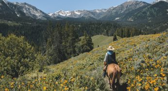 Go Horseback Riding in the U.S. National Parks