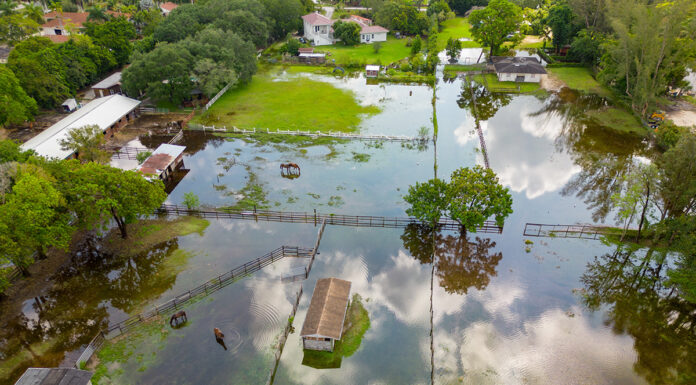 hurricane helene flooding and damage