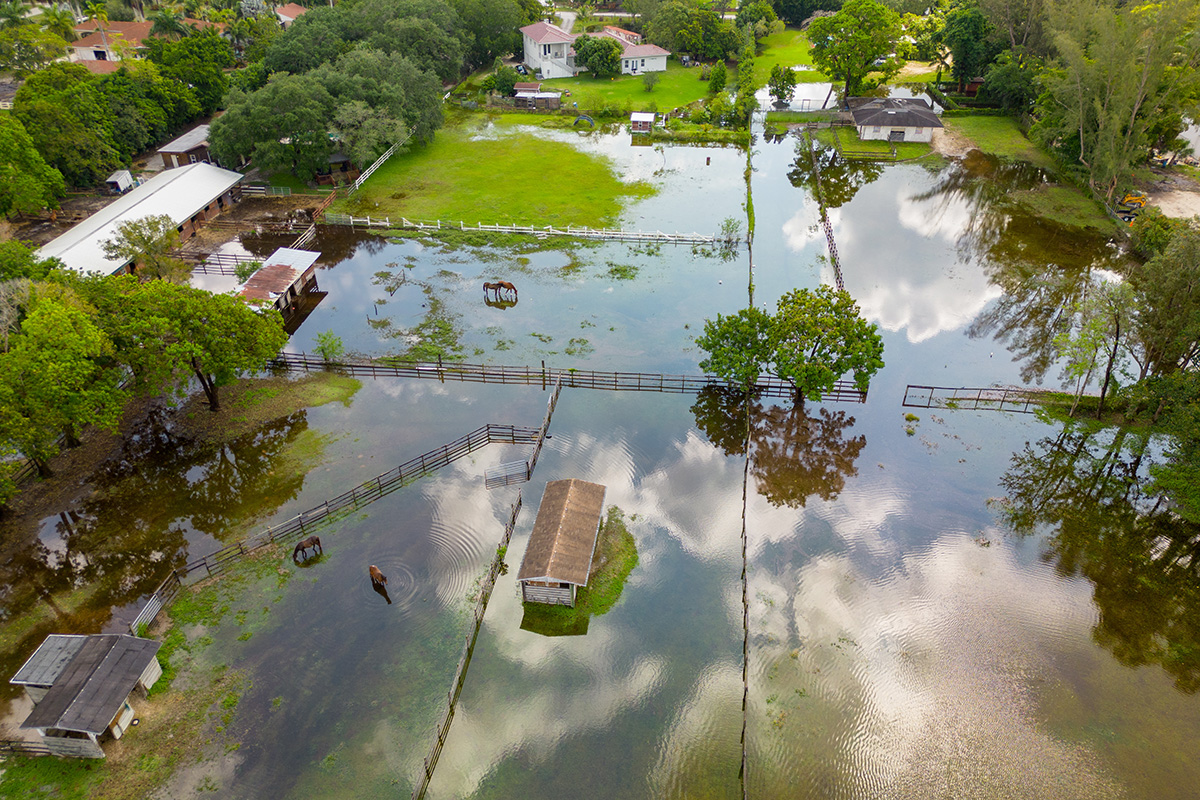 Hurricane Helene flooding and damage