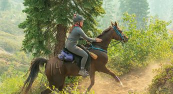 Endurance and Competitive Trial Riding Topics from Horse Illustrated