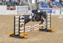 Thoroughbred Makeover 2025 Format Changes