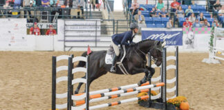 Thoroughbred Makeover 2025 Format Changes