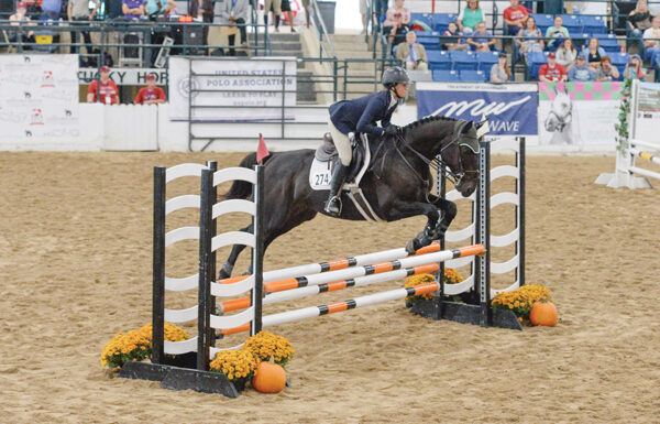 Thoroughbred Makeover 2025 Format Changes