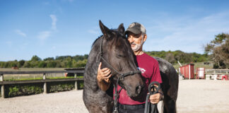 A man volunteering at a horse rescue facility