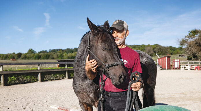A man volunteering at a horse rescue facility