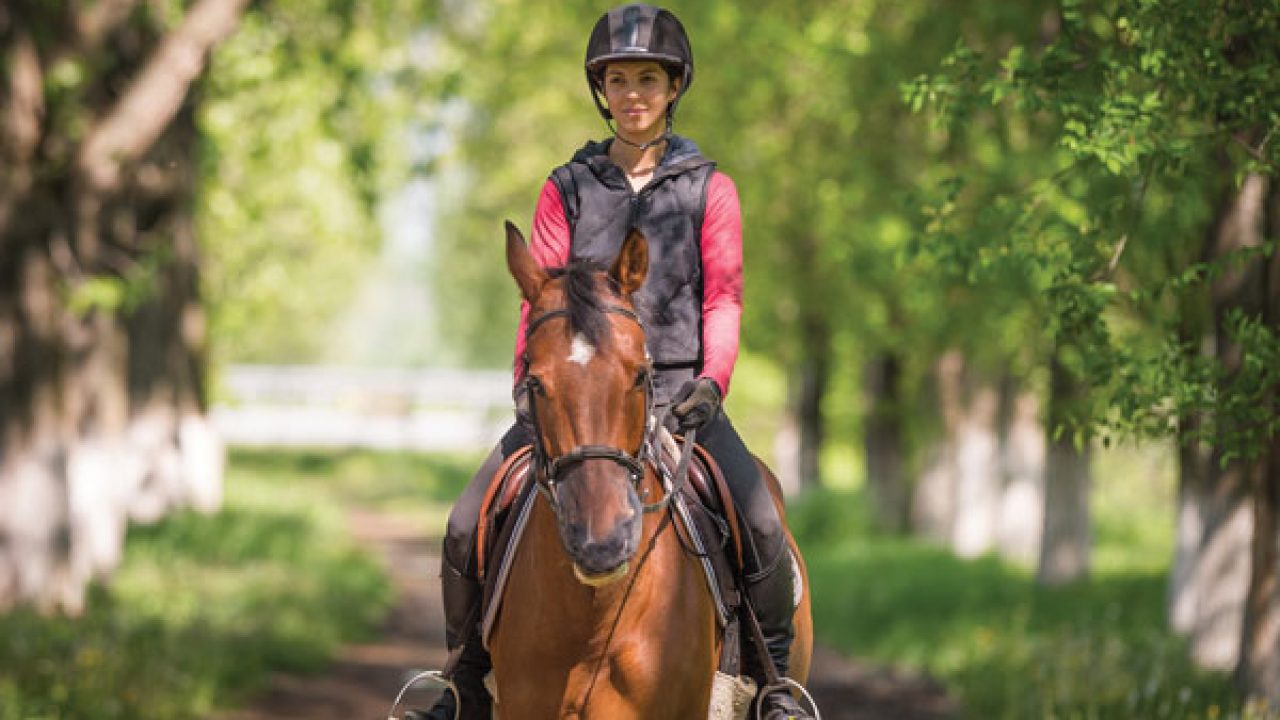 Apple watch clearance equestrian sports